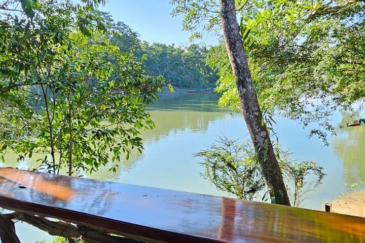 Amazon Jungle & Baños Adventure City: 4 Days of Nature & Wildlife