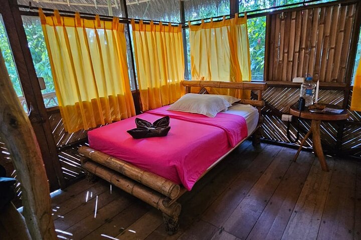 Amazon Jungle & Baños Adventure City: 4 Days of Nature & Wildlife