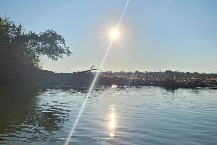 Amazon Jungle & Baños Adventure City: 4 Days of Nature & Wildlife