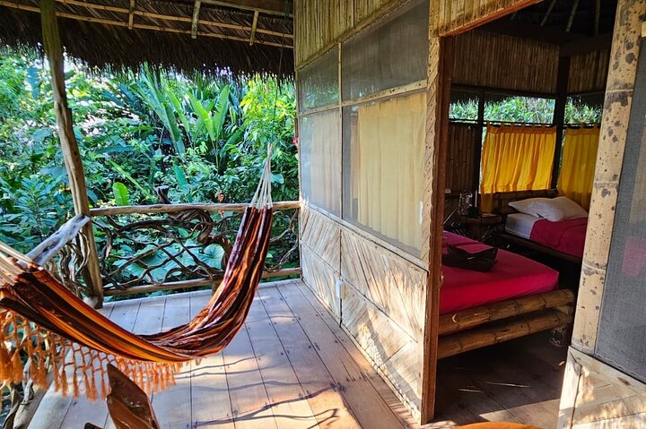 Amazon Jungle & Baños Adventure City: 4 Days of Nature & Wildlife