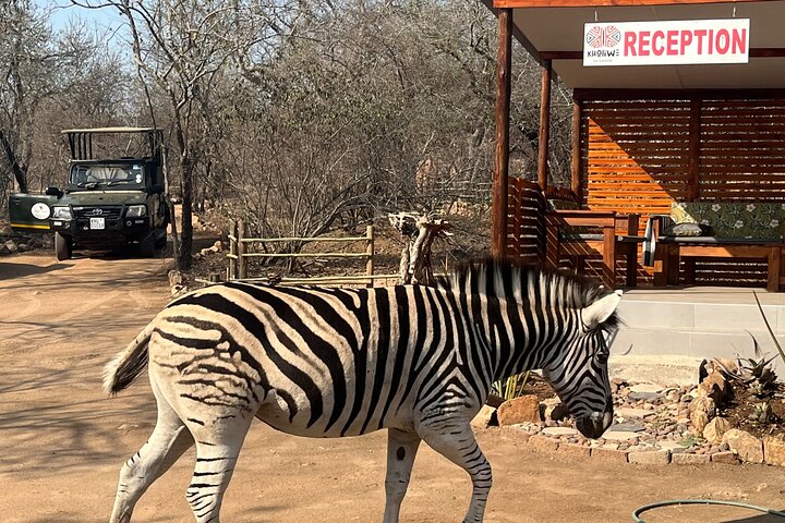All inclusive 3 Day Kruger Safari From Nelspruit