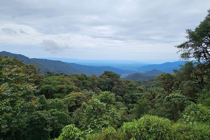 Amazon Jungle & Baños Adventure City: 4 Days of Nature & Wildlife
