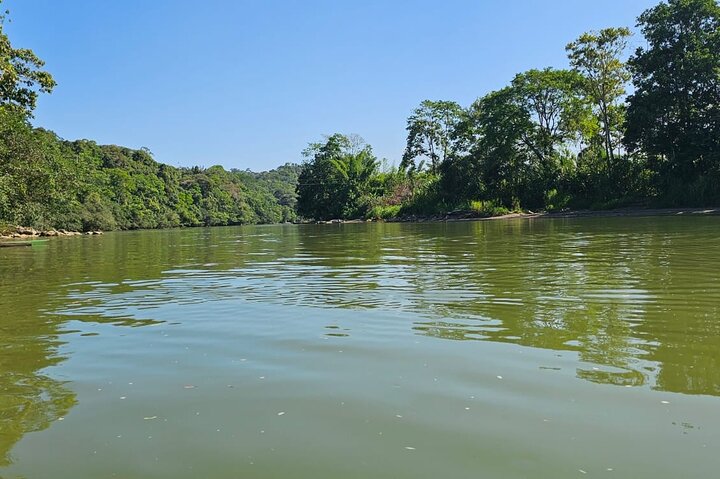 Amazon Jungle & Baños Adventure City: 4 Days of Nature & Wildlife
