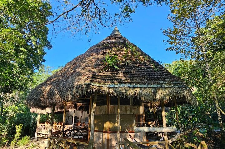 Amazon Jungle & Baños Adventure City: 4 Days of Nature & Wildlife