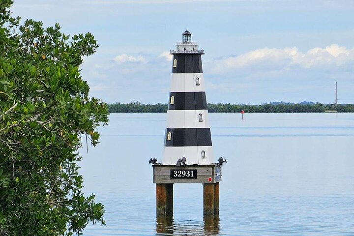 Cocoa Beach Dolphin and Wildlife Tour