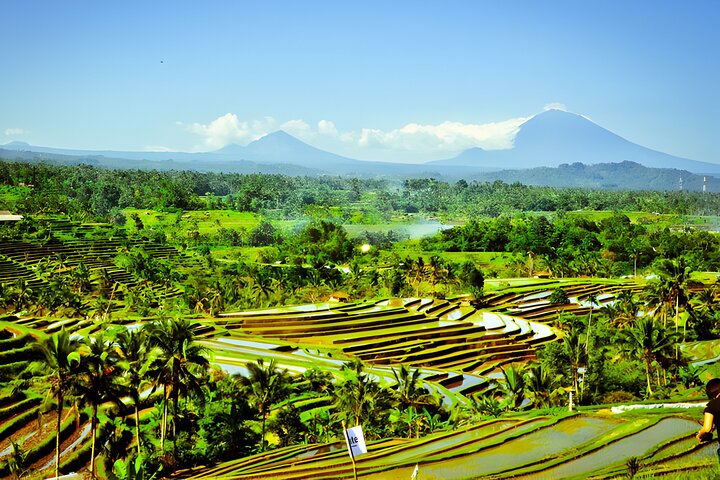 Private Full-Day Tour: Discover The Best of Bali Destination