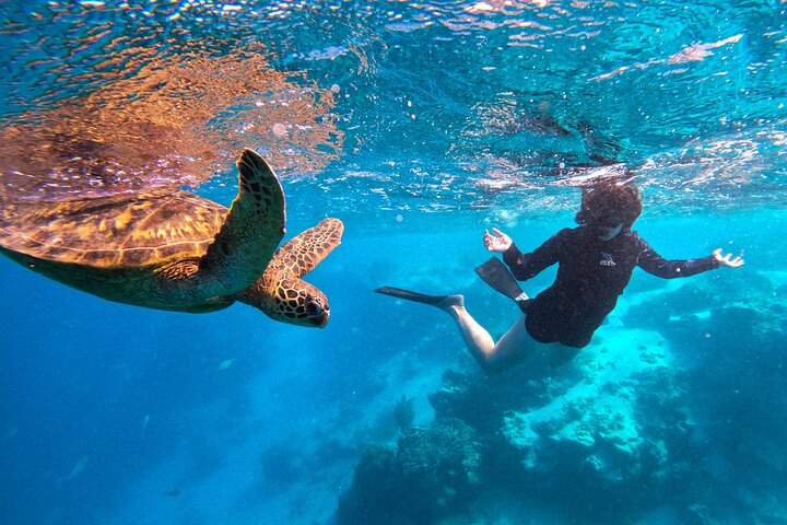 Eco Friendly Sea Scooter Turtle Tour in Rarotonga
