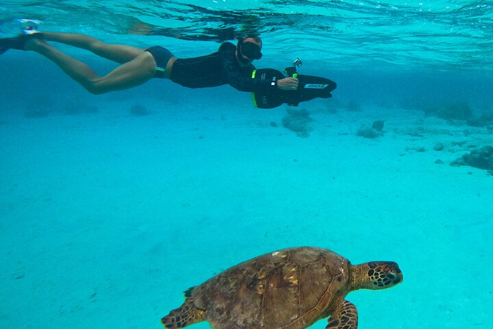 Eco Friendly Sea Scooter Turtle Tour in Rarotonga