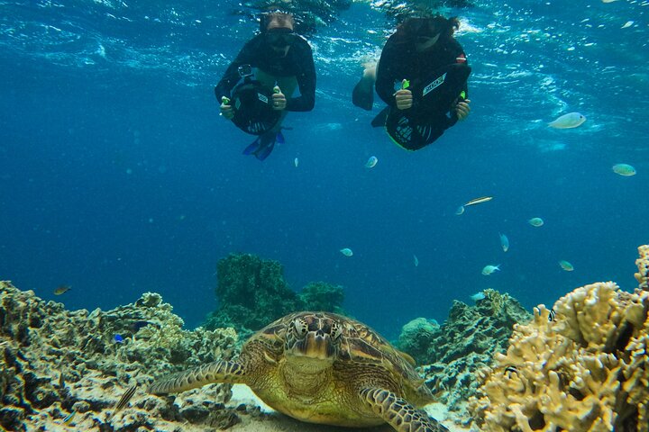 Eco Friendly Sea Scooter Turtle Tour in Rarotonga