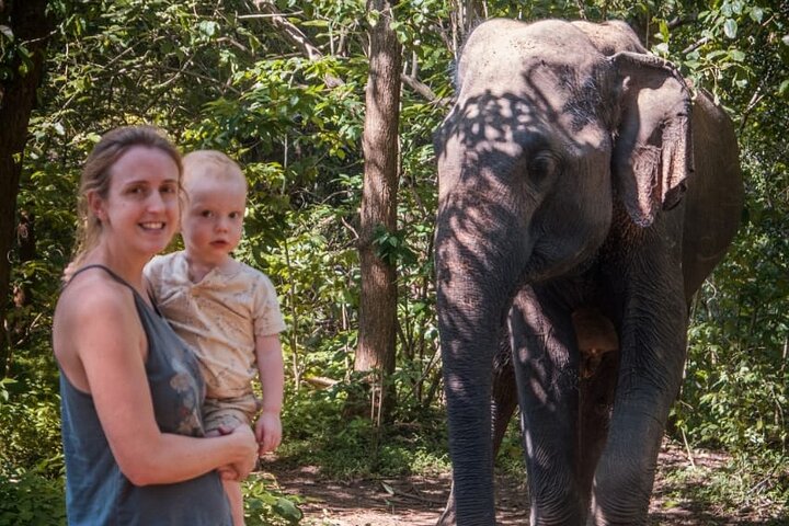 Udawalawe National Park Half Day Jeep Safari (Private Tour)