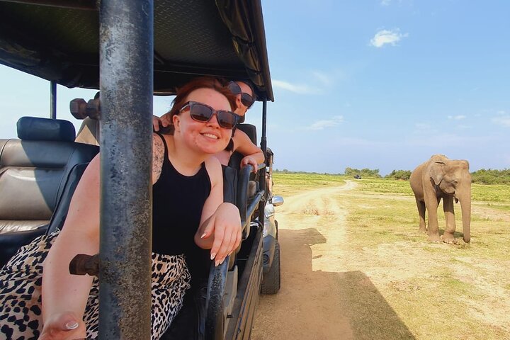 Udawalawe National Park Half Day Jeep Safari (Private Tour)