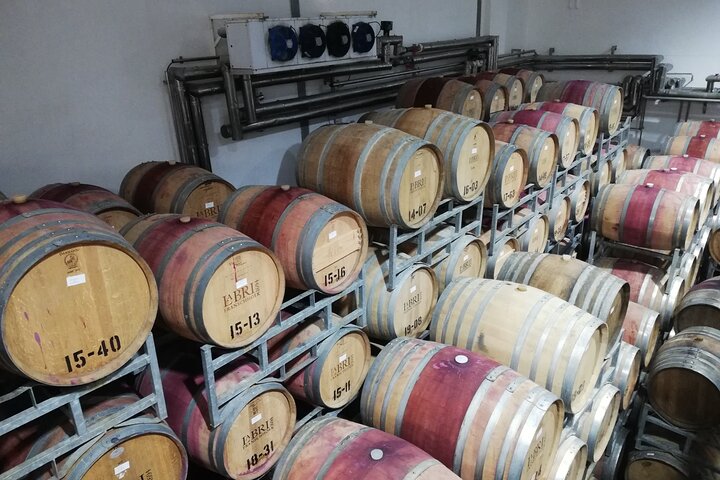 Franschhoek E-bike Ride & Wine w.Lunch
