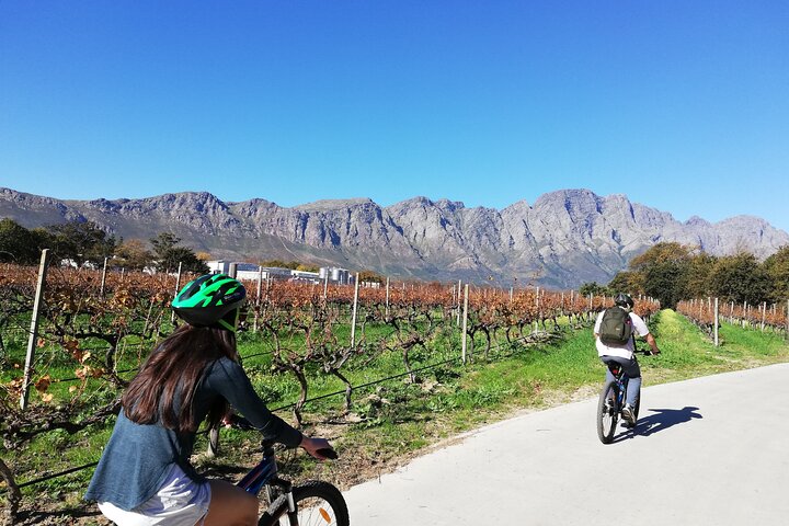 Franschhoek E-bike Ride & Wine w.Lunch