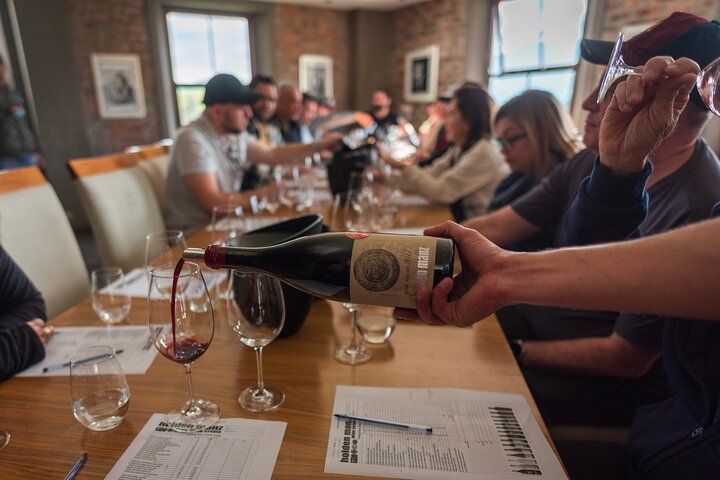 Franschhoek E-bike Ride & Wine w.Lunch