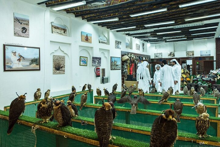 Doha layover, Stopover,Transit (4 Hours Private guided city tour)
