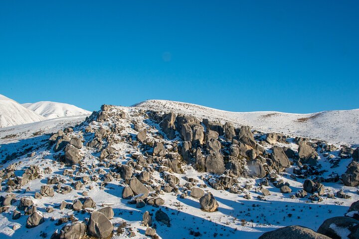 Christchurch to Arthur's Pass Tours + TranzAlpine Train & Lunch