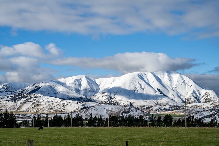 Christchurch to Arthur's Pass Tours + TranzAlpine Train & Lunch