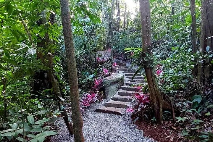 Cultural: Coffee & Chocolate Tour+Wildlife Trail+Waterfall Swim
