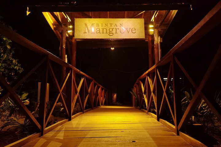 Bintan Fireflies Discovery Tour
