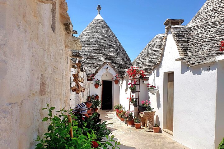 From Lecce : Alberobello, Locorot., Ostuni, guided tour, 2 Testings