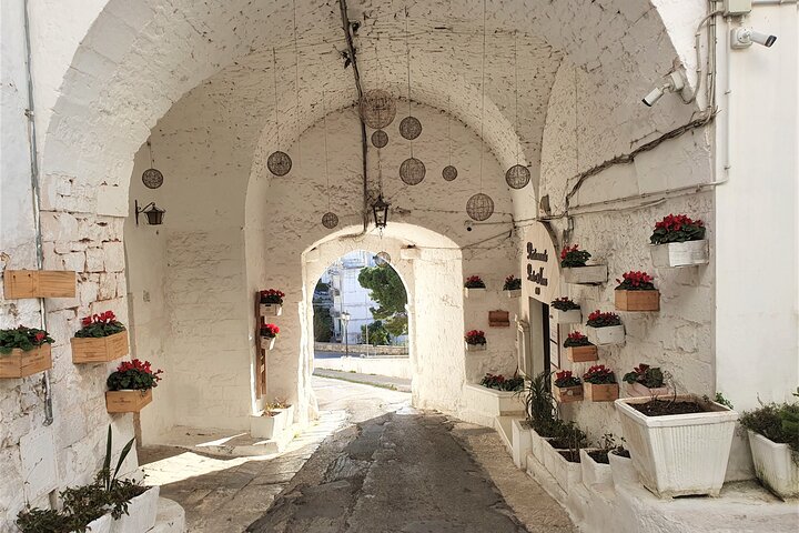 From Lecce : Alberobello, Locorot., Ostuni, guided tour, 2 Testings
