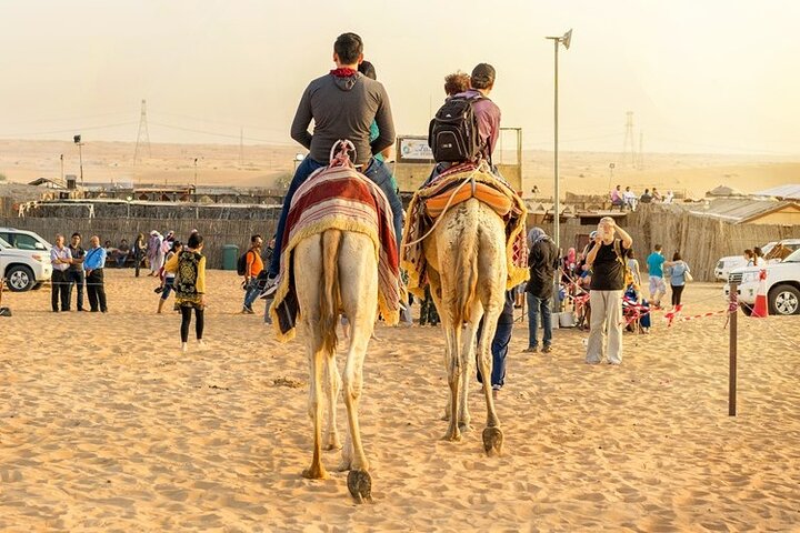 Doha:ATV,Quad or Buggy Dune Bashing,CamelRide & Sandboarding
