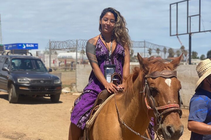 Private Shore Excursion: Beach or Canyon Horseback + Bufadora opt