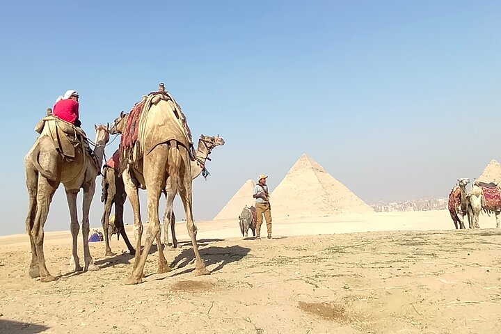 Private Guided Tour Giza pyramids, Sphinx with an Egyptologist