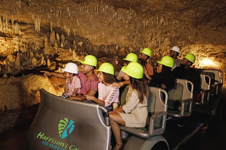 Harrison's Cave Tour & Monkey Zipline, Barbados