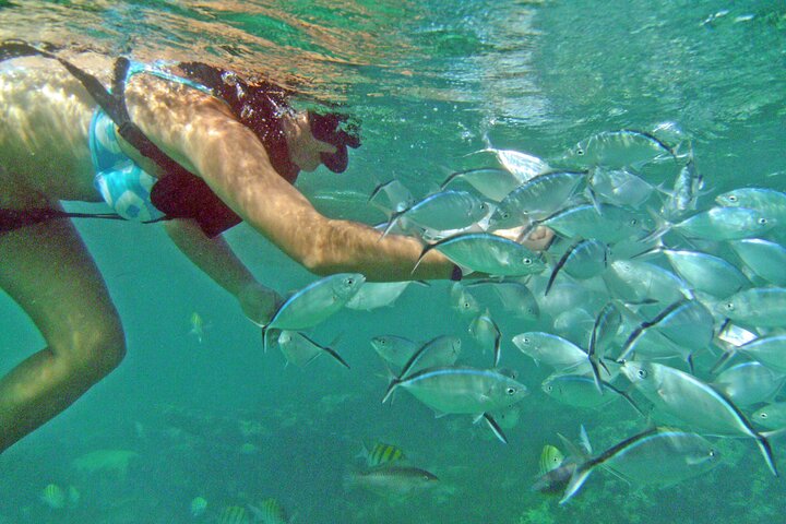 Punta Cana Family Catamaran Cruise with Snorkeling Adventure