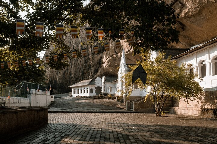 From Colombo: Sigiriya and Dambulla Day Trip and Safari