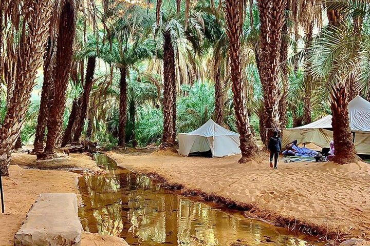 Adrar & Banc d'Arguin 10-Day Tour
