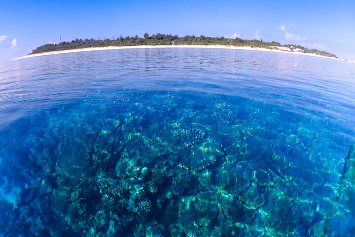 Okinawa: Scuba Diving Tour with Wagyu BBQ Lunch and English guide