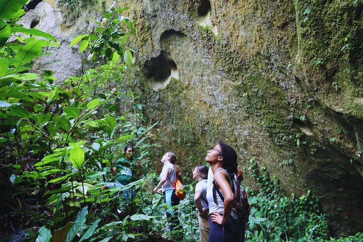 Route of the Dreams Full-day Trekking Jungle Tour in Tena