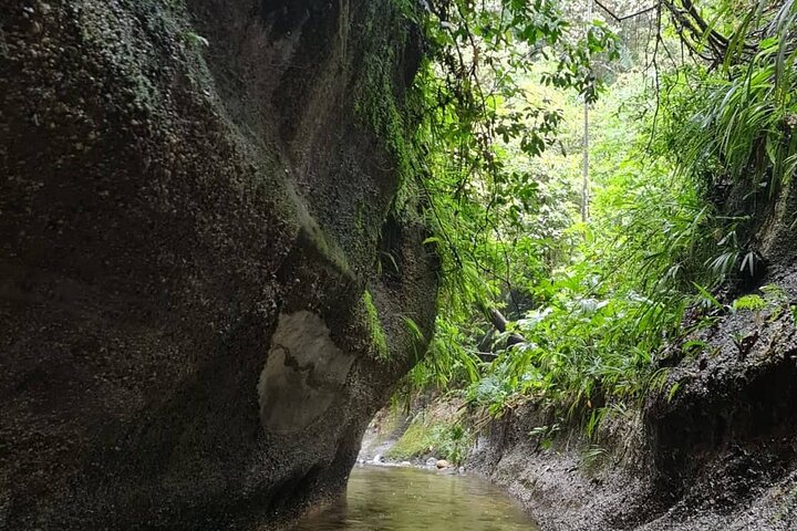 Route of the Dreams Full-day Trekking Jungle Tour in Tena