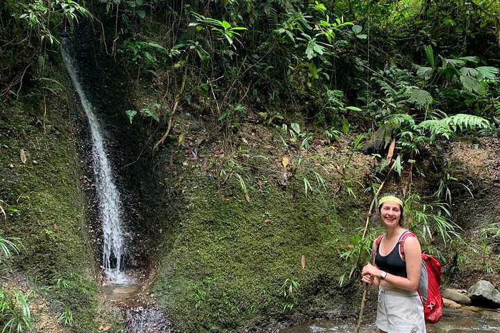 Route of the Dreams Full-day Trekking Jungle Tour in Tena