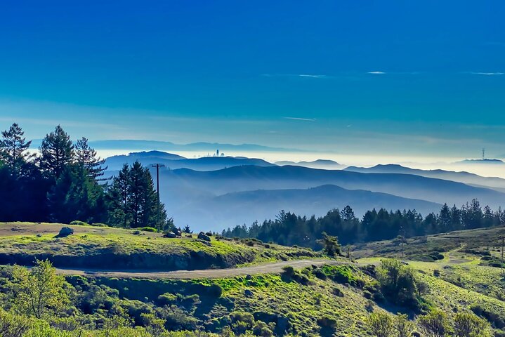 Muir Woods and Sausalito Half Day Tour