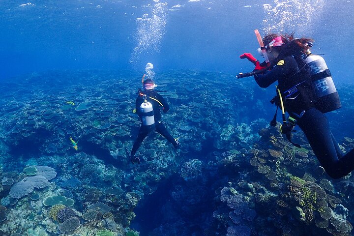 2-Day Private Deluxe Certification Course for Scuba Diving