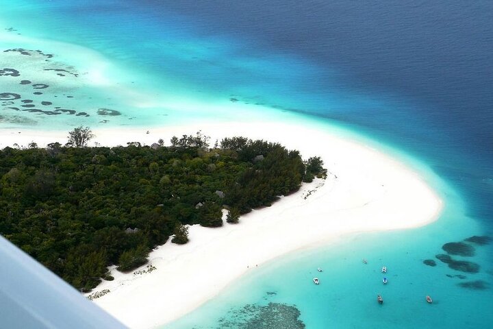 A Half Day Private Dolphins And Snorkeling Tour To Mnemba Island