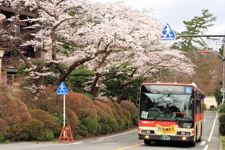 Hakone Free Pass, 2-3 Days Travel Voucher Japan