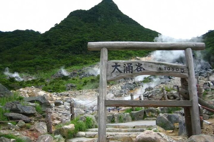 Hakone Free Pass, 2-3 Days Travel Voucher Japan