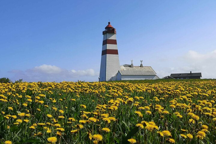 Ålesund Shore Excursion and 6 beautiful highlight stops minibus