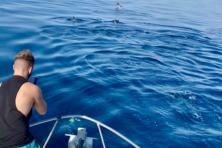 Boat Tour with Snorkeling, Slide, Lunch and Pick Up