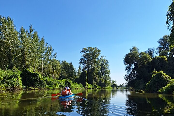 Self-guided kayak tour in Belgrade
