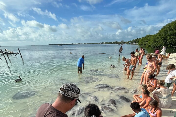 Full-Day Snorkel at Hol Chan, Shark Ray & More; San Pedro Belize