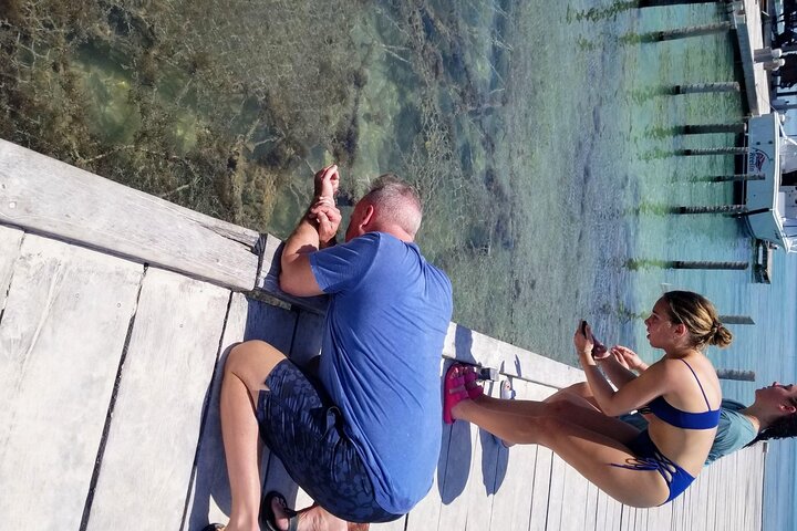 Full-Day Snorkel at Hol Chan, Shark Ray & More; San Pedro Belize