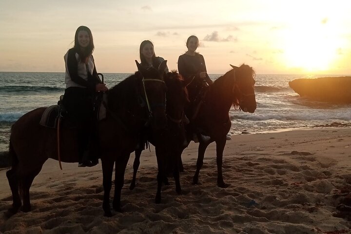 Aruba Ecological & Coastline Horseback Ride with Beach Photo Stop