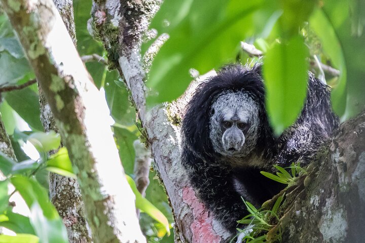 360° Jungle Day Tour Expedition Amazonia Ecuador rainforest