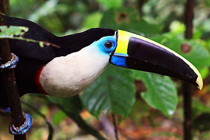 360° Jungle Day Tour Expedition Amazonia Ecuador rainforest