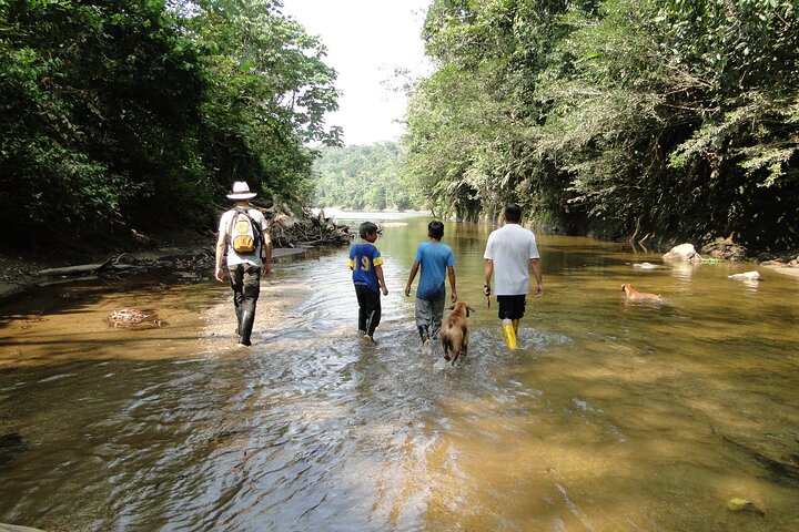 Grand Selva 3-Day Jungle Expedition Amazonia Ecuador rainforest